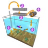 Фильтрация воды в аквариуме