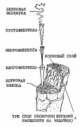 шерсть