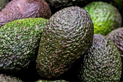 Авокадо: польза для здоровья