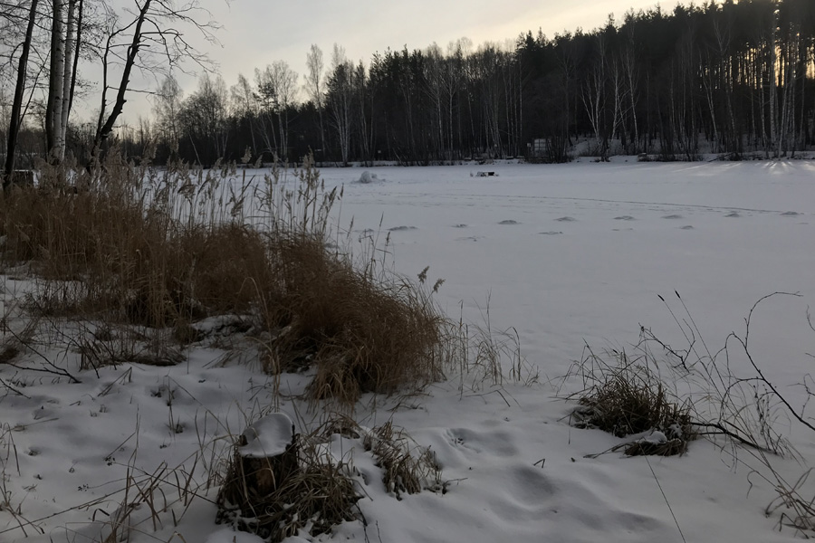 Пищевые добавки, которые нам необходимы зимой