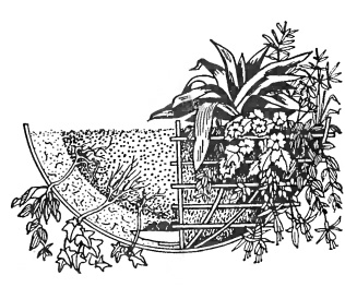 Посадка растений в проволочной корзинке